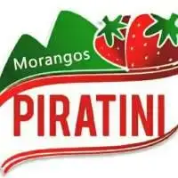 Morangos Piratini  logomarca